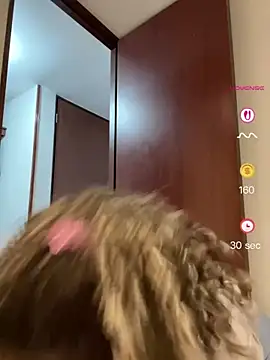 Belkaj webcam