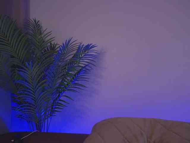 Karollovea dildo - 2024.01.11